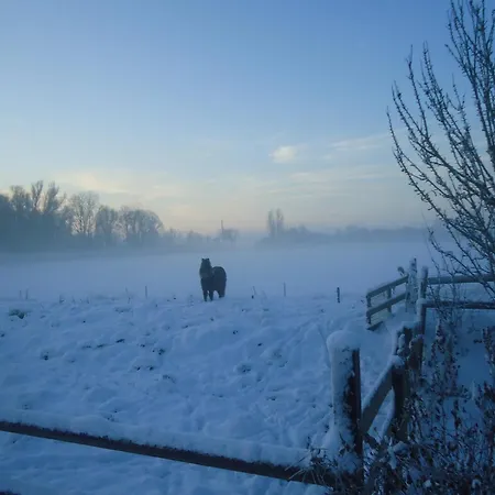 Дом отдыха In With Meadow Views, Cleaning Included