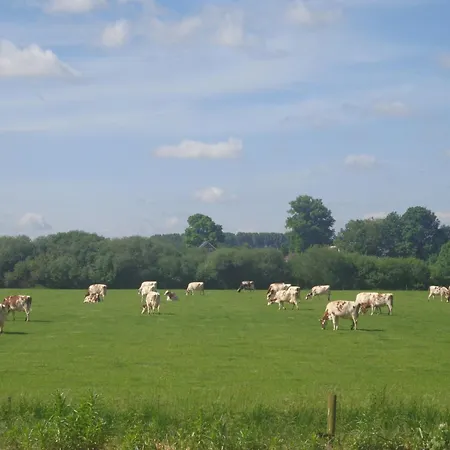 In With Meadow Views, Cleaning Included Дом отдыха Spijk (Gelderland)